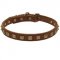 Handcrafted 1 Row Square Studded Leather Collie Collar