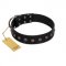 "Flower Rhapsody" FDT Artisan Premium Quaulity Black Leather Collie Collar