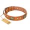 "Saucy Nature" FDT Artisan Tan Leather Collie Collar with Old Bronze Look Plates and Skulls