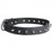 Collie Leather Collar Spiked 30 mm