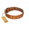 "Sand of Time" FDT Artisan Tan Leather Collie Collar with Old Bronze-like Studs and Plates