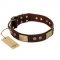 "Shining Armour" FDT Artisan Brown Leather Collie Collar with Decorations