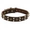 Leather Collie Collar With Studs and Pyramids