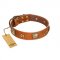 "Celtic Tunes" FDT Artisan Tan Leather Collie Collar Adorned with Stars and Squares