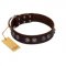 "King Arthur" FDT Artisan Brown Leather Collie Collar with Spiky Plates