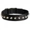 Exclusive Nylon Collie Collar with Awesome Nickel Cones