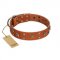 "Faraway Galaxy" FDT Artisan Tan Leather Collie Collar Adorned with Stars and Squares