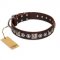 "Pierian spring" FDT Artisan Brown Leather Collie Collar with Silvery Decorations