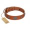 "Foxy Nature" FDT Artisan Tan Leather Collie Collar with Chrome Plated Brooches