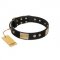 "Antique Gloss" FDT Artisan Black Leather Collie Collar with Bronze-like Plates and Small Studs