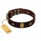 "Victory and Laurels" FDT Artisan Brown Leather Collie Collar with Ovals and Stars