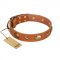 "Visual Magic" FDT Artisan Tan Leather Collie Collar for Daily Activities