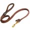 Brand New Design Leather Collie Leash