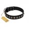 "Black Eagle" Handcrafted FDT Artisan Black Leather Collie Collar with Silver-Like Adornments