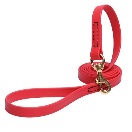 Red Waterproof Collie Leash Made of Biothane