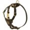 Tracking and Walking Leather Collie Harness for Puppies
