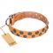 "Precious Sparkle" FDT Artisan Handcrafted Tan Leather Collie Collar