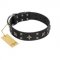 "Star Excitement" Modern FDT Artisan Black Leather Collie Collar with Studs and Stars