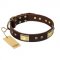 "Rich Fashion" FDT Artisan Decorated Leather Collie Collar with Plates and Studs