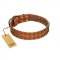 "Terra-cotta" FDT Artisan Tan Leather Collie Collar with Two Rows of Studs