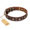"High Fashion" FDT Artisan Embellished Brown Leather Collie Collar