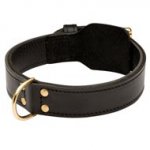 Training 2 Ply Leather Collie Collar