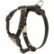 Studded Leather Collie Puppy Harness
