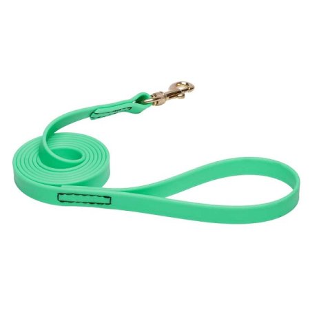 Green Waterproof Collie Leash Made of Biothane
