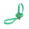 Green Waterproof Collie Leash Made of Biothane