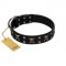 "Black Jack" Stylish Handmade FDT Artisan Black Leather Collie Collar
