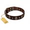 "Breaking the Horizon" FDT Artisan Brown Leather Collie Collar with Engraved Studs and Medallions