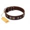 "Object of Virtu" FDT Artisan Brown Leather Collie Collar with Old Silver-like Square Studs and Pyramids