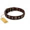 "Snazzy Paws" FDT Artisan Brown Leather Collie Collar Adorned with Conchos and Medallions