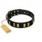 "Glorious Night" FDT Artisan Decorated Black Leather Collie Collar