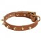 Walking Designer Leather Collie Collar with Brass Spikes