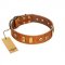 "Egyptian Script" FDT Artisan Tan Leather Collie Collar with Plates and Small Studs
