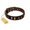 "Choco Delight" FDT Artisan Brown Leather Collie Collar with Old Bronze-like Plates and Studs