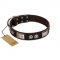 "Baller Status" FDT Artisan Brown Leather Collie Collar Adorned with a Set of Chrome Plated Studs and Plates