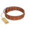 "Dreamy Gleam" FDT Artisan Tan Leather Collie Collar Adorned with Stars and Squares