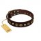 "Street Fashion" FDT Artisan Brown Leather Collie Collar Adorned with Circles and Skulls