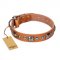 "Era of Future" FDT Artisan Handcrafted Tan Leather Collie Collar with Decorations