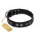 "Silver Medallions" Mod FDT Artisan Black Leather Collie Collar with Round Plates