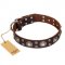 "Age of Beauty" FDT Artisan Incredible Studded Brown Leather Collie Collar