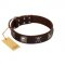 "Nut-Brown Finery" Embellished FDT Artisan Brown Leather Collie Collar with Chrome Plated Crossbones and Plates