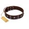 "Skull Valley" Handcrafted FDT Artisan Brown Leather Collie Collar with Skulls
