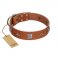 "Lucky Star" FDT Artisan Tan Leather Collie Collar with Silver-Like Embellishments