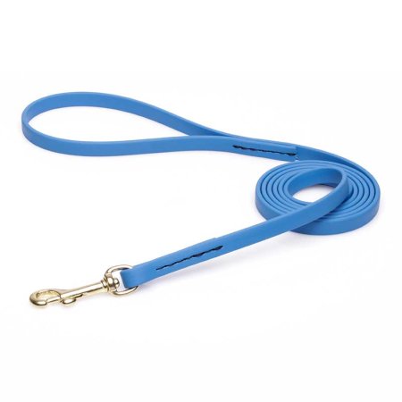 Amazing Blue Biothane Collie Leash for Walking, Tracking