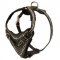 Painted Leather Collie Harness for Walking and Training