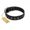 "Black Knight" Handmade FDT Artisan Black Leather Collie Collar with Silver-Like Studs