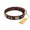 "Pirate Skull" FDT Artisan Brown Leather Collie Collar with Old Silver Look Plates and Skulls